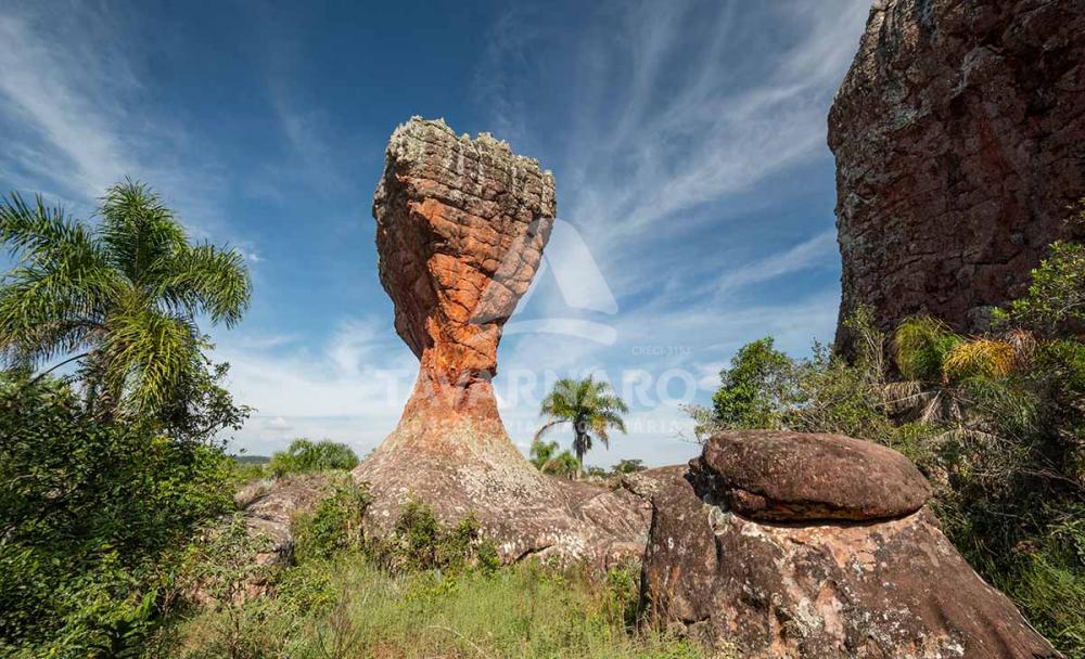 Vai a Ponta Grossa? Conhea o Parque Estadual de Vila Velha