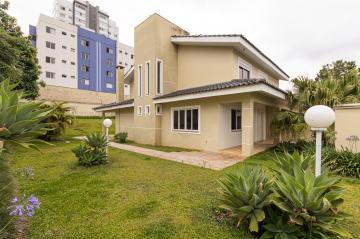 Alugar Casa / Padrão em Ponta Grossa. apenas R$ 4.500,00