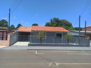 Alugar Casa / Padrão em Ponta Grossa. apenas R$ 1.450,00