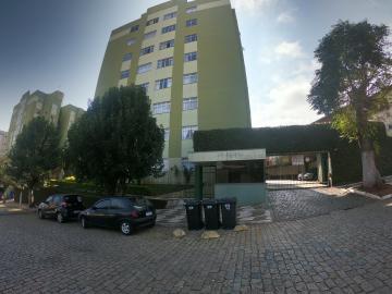 Alugar Apartamento / Padrão em Ponta Grossa. apenas R$ 550,00