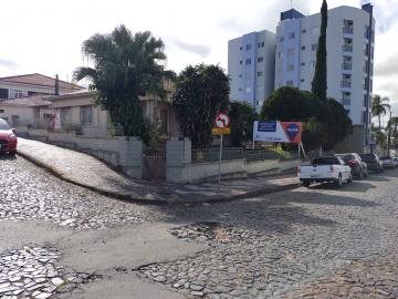 Alugar Terreno / Padrão em Ponta Grossa.